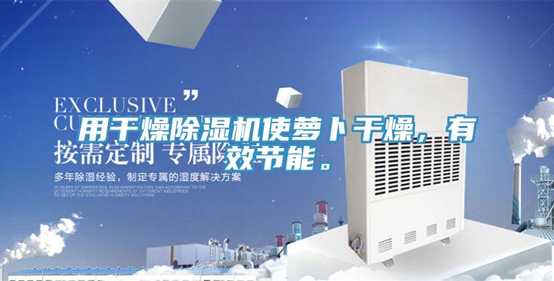 用干燥除濕機(jī)使蘿卜干燥，有效節(jié)能。