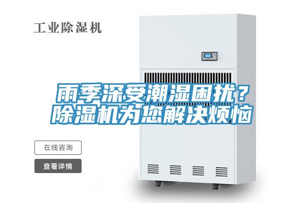 雨季深受潮濕困擾？除濕機(jī)為您解決煩惱