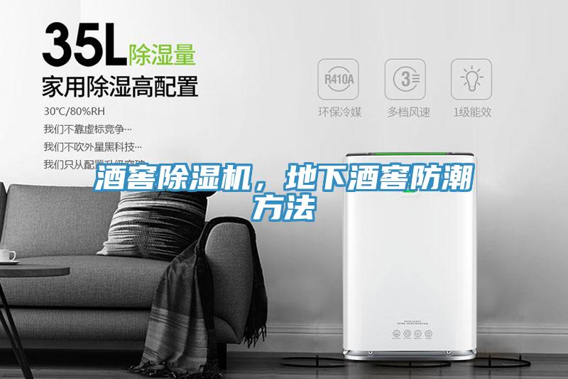 酒窖除濕機(jī)，地下酒窖防潮方法
