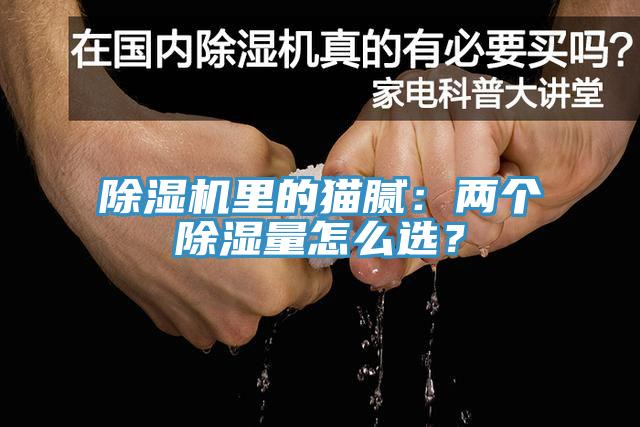 除濕機(jī)里的貓膩：兩個(gè)除濕量怎么選？