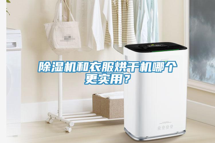 除濕機和衣服烘干機哪個更實用？