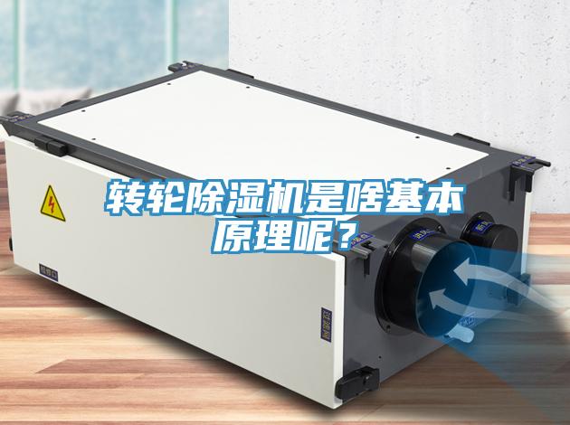 轉(zhuǎn)輪除濕機(jī)是啥基本原理呢？