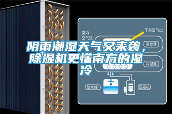 陰雨潮濕天氣又來襲，除濕機更懂南方的濕冷