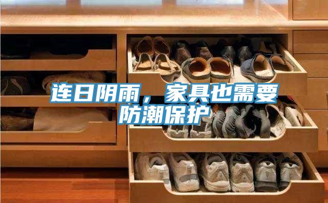 連日陰雨，家具也需要防潮保護