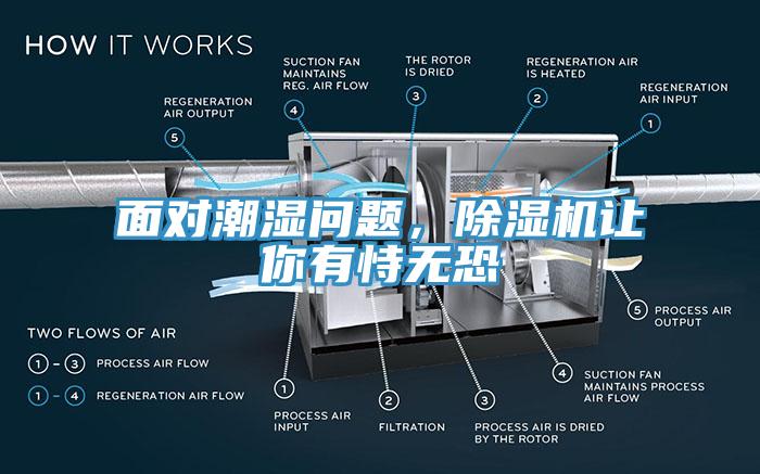 面對(duì)潮濕問題，除濕機(jī)讓你有恃無恐