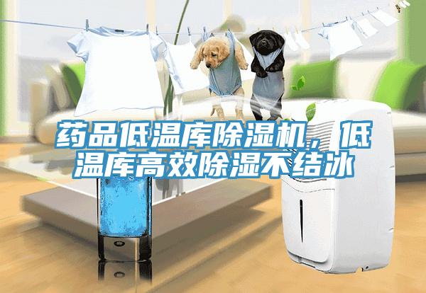 藥品低溫庫除濕機(jī)，低溫庫高效除濕不結(jié)冰
