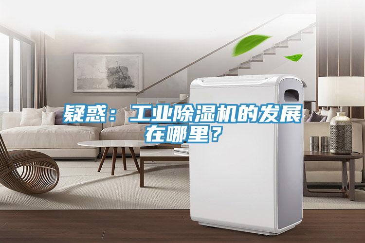 疑惑：工業(yè)除濕機(jī)的發(fā)展在哪里？