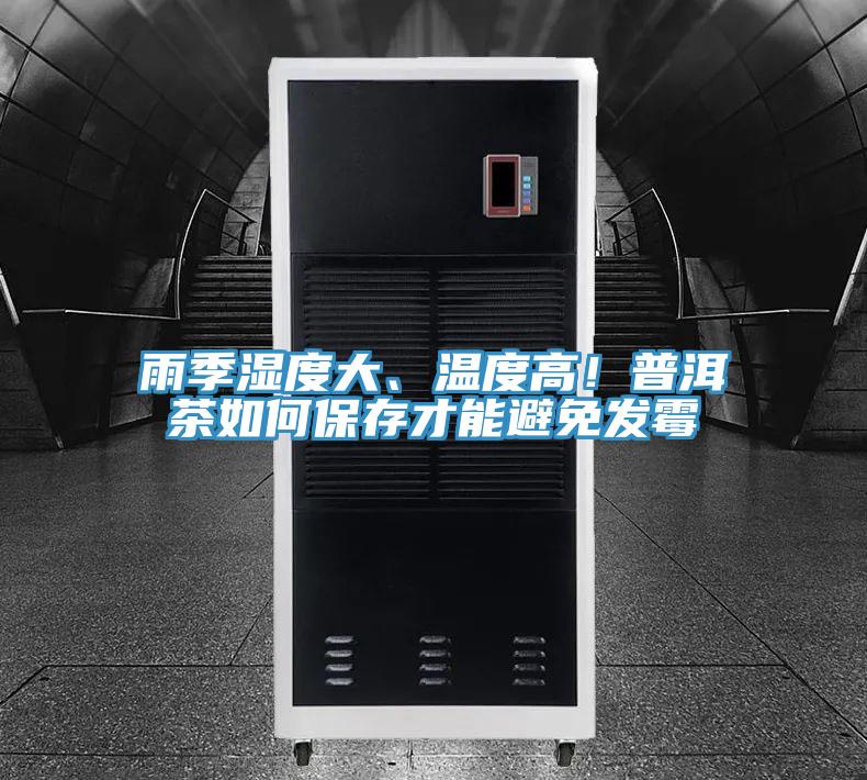 雨季濕度大、溫度高！普洱茶如何保存才能避免發(fā)霉