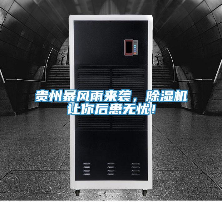 貴州暴風(fēng)雨來襲，除濕機讓你后患無憂！