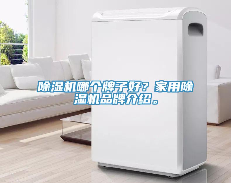 除濕機(jī)哪個牌子好？家用除濕機(jī)品牌介紹。