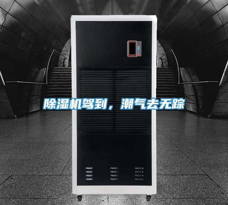 除濕機駕到，潮氣去無蹤