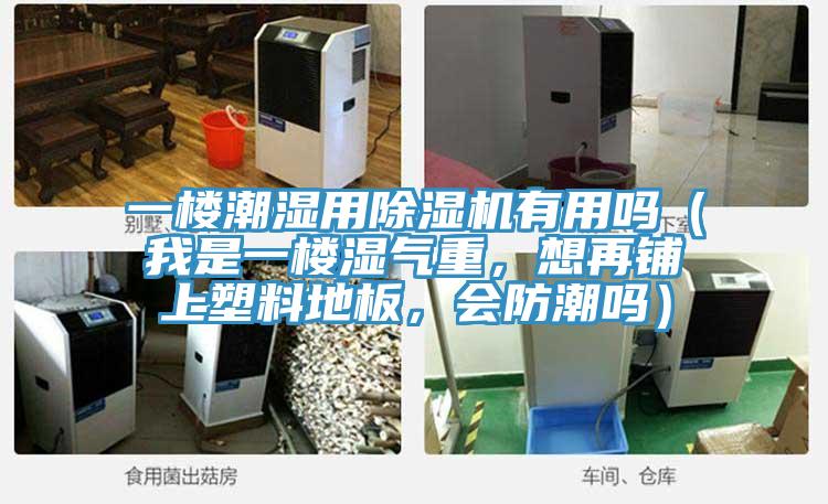 一樓潮濕用除濕機(jī)有用嗎（我是一樓濕氣重，想再鋪上塑料地板，會(huì)防潮嗎）