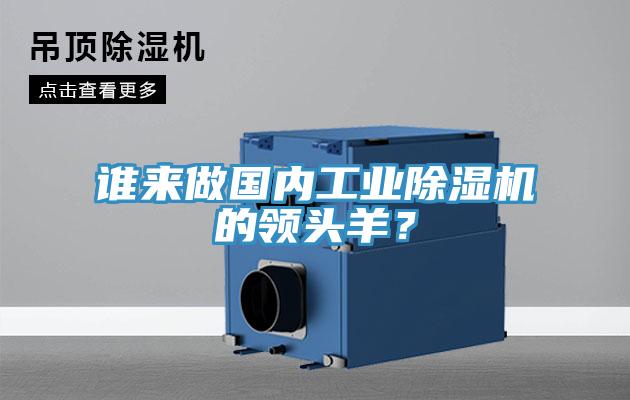 誰來做國內(nèi)工業(yè)除濕機的領頭羊？