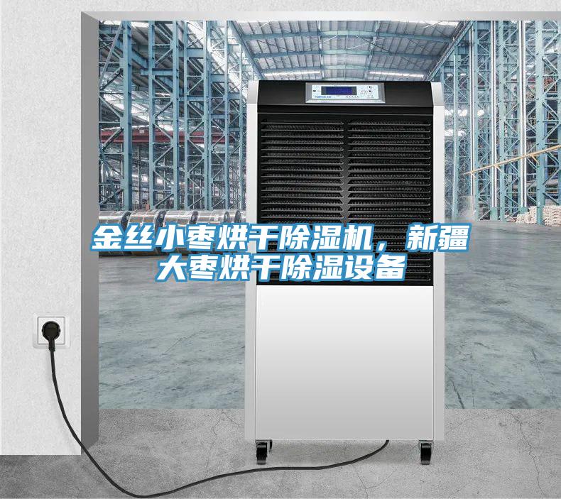 金絲小棗烘干除濕機，新疆大棗烘干除濕設備
