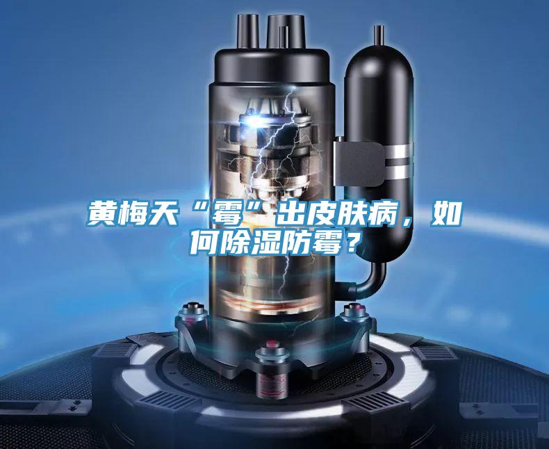 黃梅天“霉”出皮膚病，如何除濕防霉？