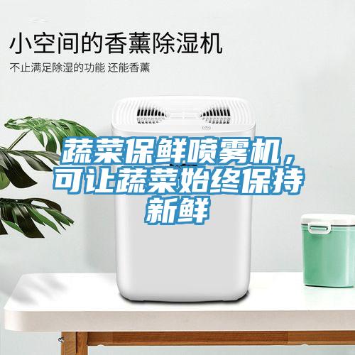 蔬菜保鮮噴霧機，可讓蔬菜始終保持新鮮