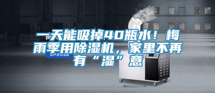 一天能吸掉40瓶水！梅雨季用除濕機(jī)，家里不再有“濕”意