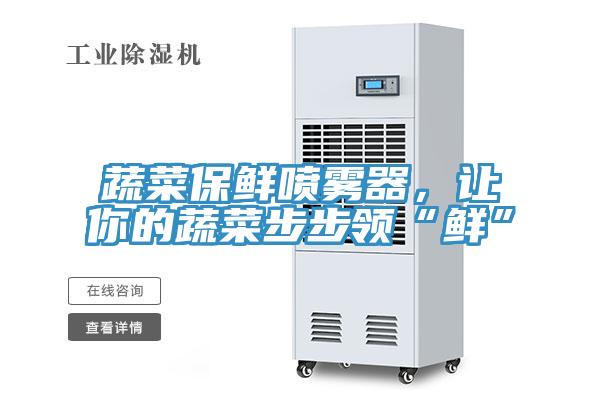 蔬菜保鮮噴霧器，讓你的蔬菜步步領(lǐng)“鮮”
