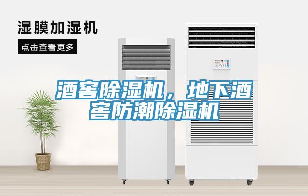 酒窖除濕機(jī)，地下酒窖防潮除濕機(jī)