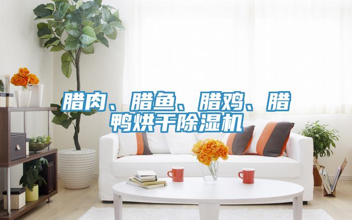 臘肉、臘魚、臘雞、臘鴨烘干除濕機(jī)