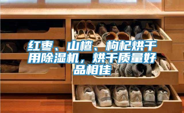 紅棗、山楂、枸杞烘干用除濕機(jī)，烘干質(zhì)量好品相佳