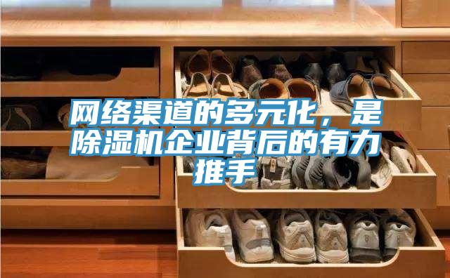 網(wǎng)絡(luò)渠道的多元化，是除濕機(jī)企業(yè)背后的有力推手