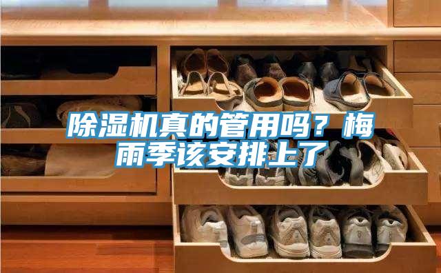 除濕機真的管用嗎？梅雨季該安排上了