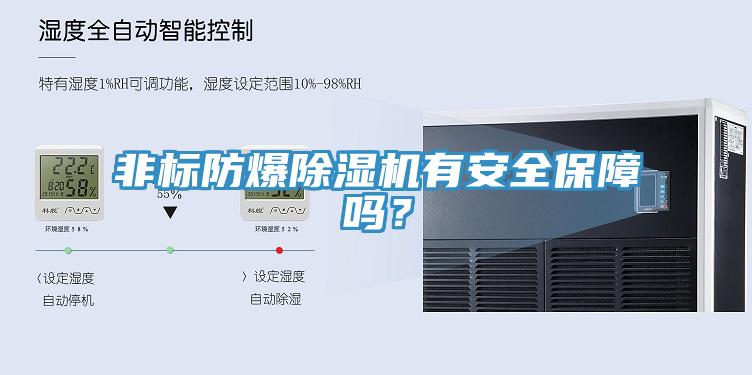 非標(biāo)防爆除濕機(jī)有安全保障嗎？