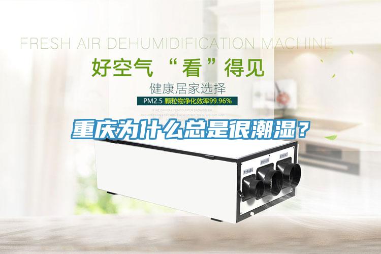重慶為什么總是很潮濕？