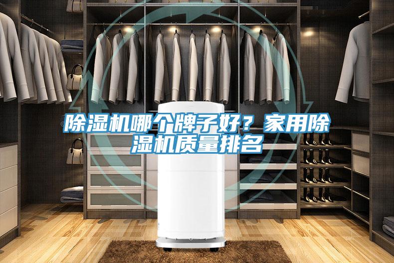除濕機(jī)哪個牌子好？家用除濕機(jī)質(zhì)量排名