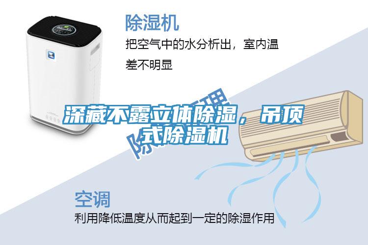 深藏不露立體除濕，吊頂式除濕機