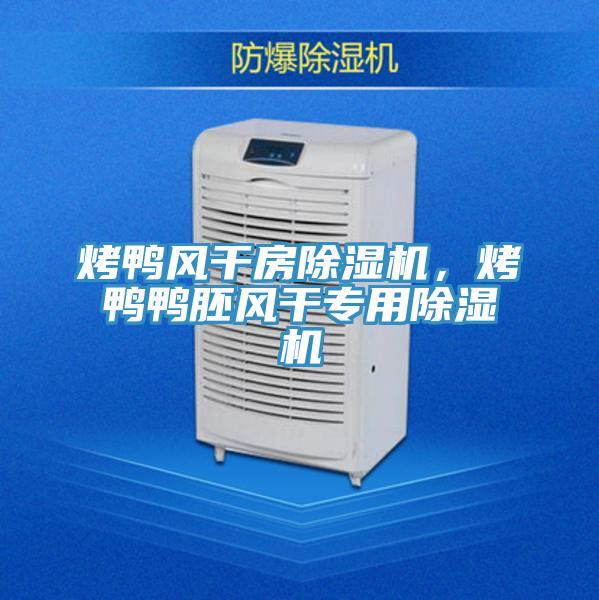 烤鴨風(fēng)干房除濕機(jī)，烤鴨鴨胚風(fēng)干專用除濕機(jī)