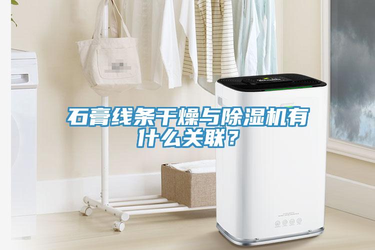石膏線條干燥與除濕機(jī)有什么關(guān)聯(lián)？