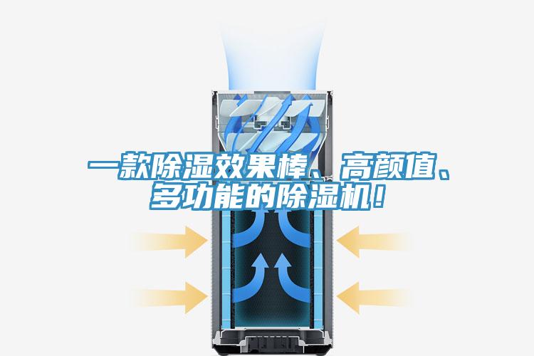 一款除濕效果棒、高顏值、多功能的除濕機(jī)！