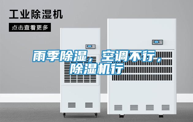 雨季除濕，空調(diào)不行，除濕機(jī)行