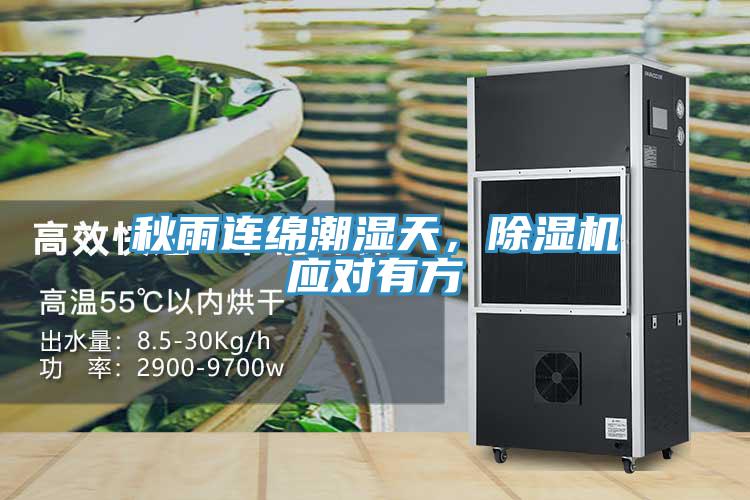 秋雨連綿潮濕天，除濕機應(yīng)對有方