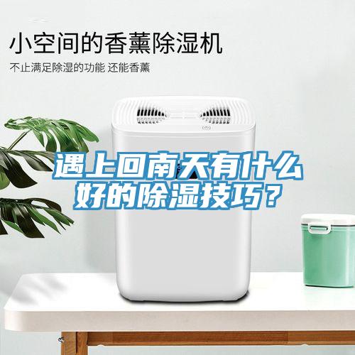 遇上回南天有什么好的除濕技巧？