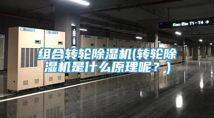 組合轉輪除濕機(轉輪除濕機是什么原理呢？)