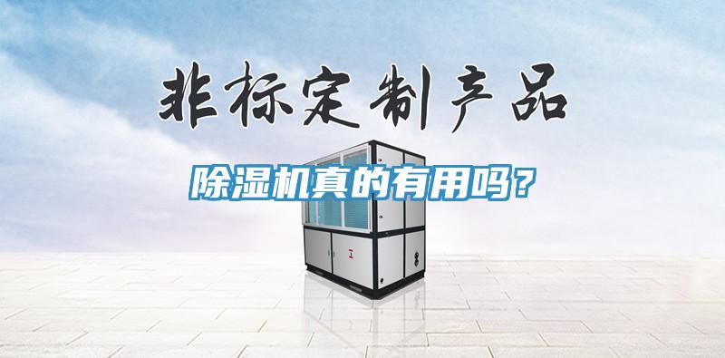 除濕機真的有用嗎？