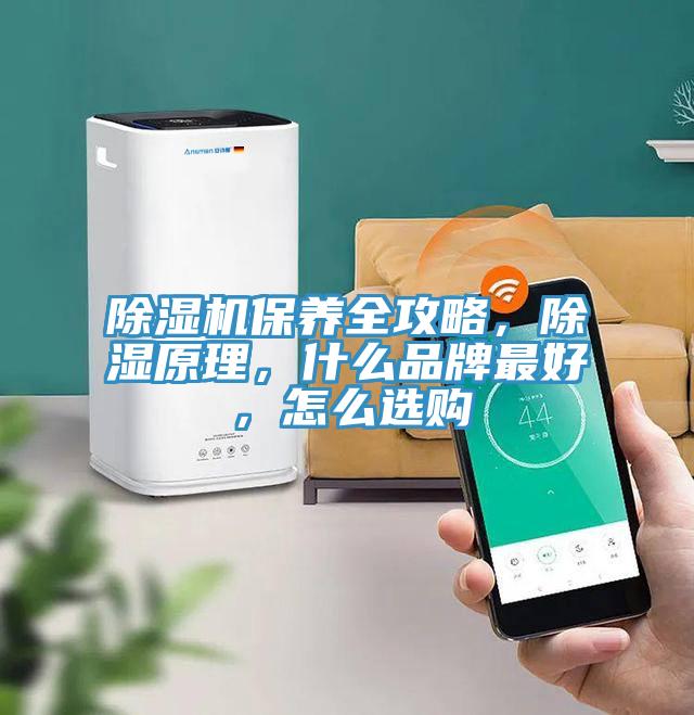 除濕機(jī)保養(yǎng)全攻略，除濕原理，什么品牌最好，怎么選購(gòu)