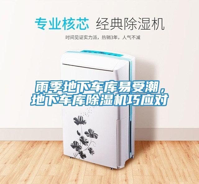 雨季地下車庫易受潮，地下車庫除濕機(jī)巧應(yīng)對(duì)