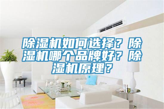 除濕機(jī)如何選擇？除濕機(jī)哪個(gè)品牌好？除濕機(jī)原理？