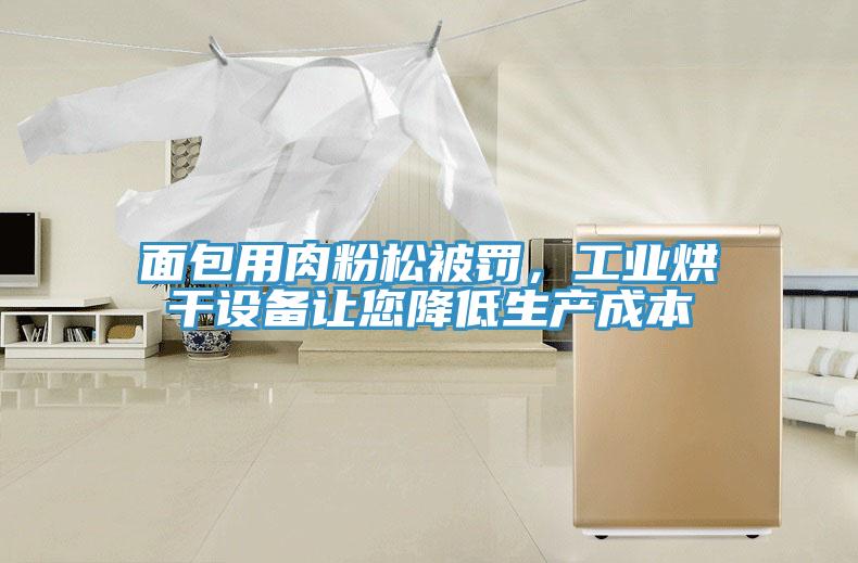 面包用肉粉松被罰，工業(yè)烘干設備讓您降低生產成本