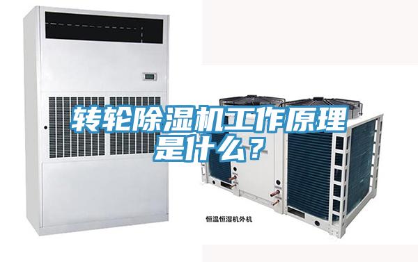 轉(zhuǎn)輪除濕機(jī)工作原理是什么？