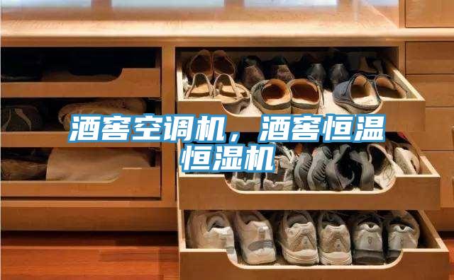 酒窖空調(diào)機(jī)，酒窖恒溫恒濕機(jī)