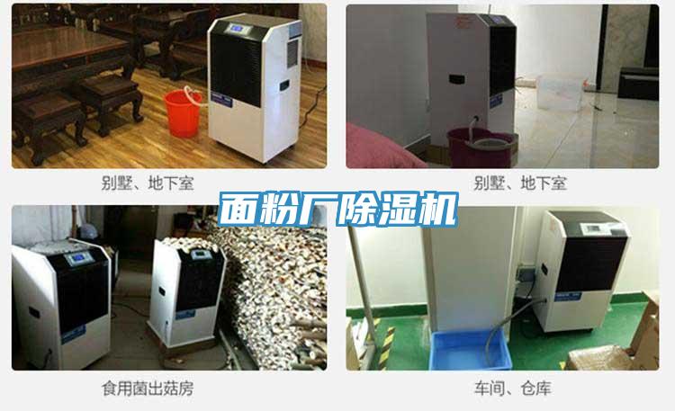 面粉廠(chǎng)除濕機(jī)