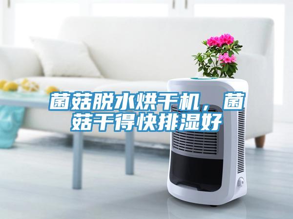 菌菇脫水烘干機(jī)，菌菇干得快排濕好