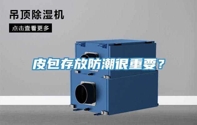皮包存放防潮很重要？
