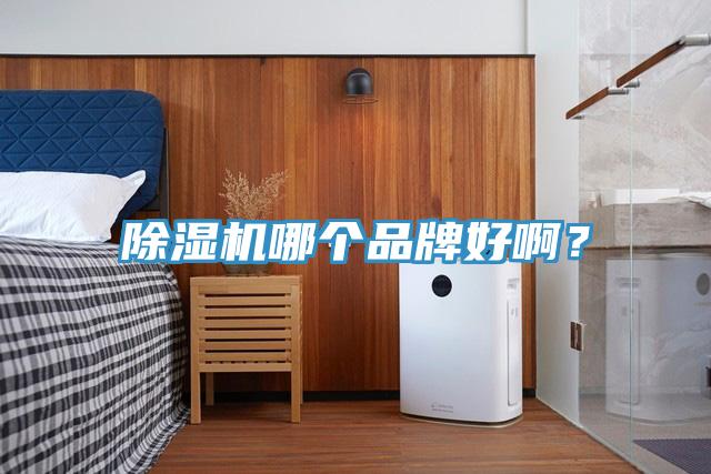除濕機(jī)哪個品牌好?。?></div>
								<div   id=