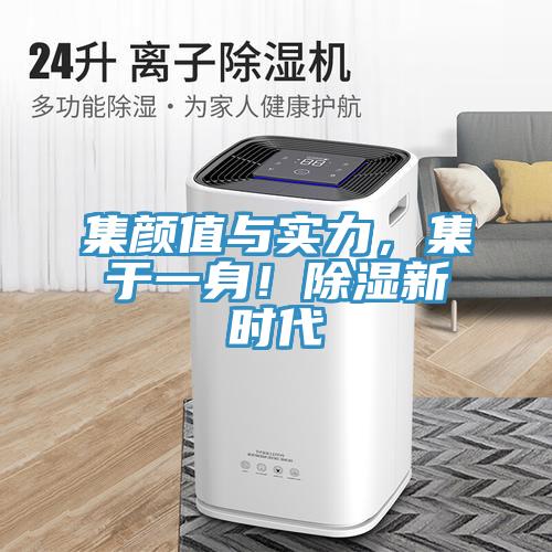 集顏值與實力，集于一身！除濕新時代